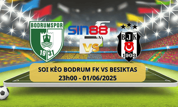 Logo đội Bodrumspor Besiktas